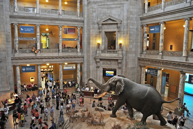 ABŞ-ın əsas muzeyləri maliyyə səbəbindən bağlanıb