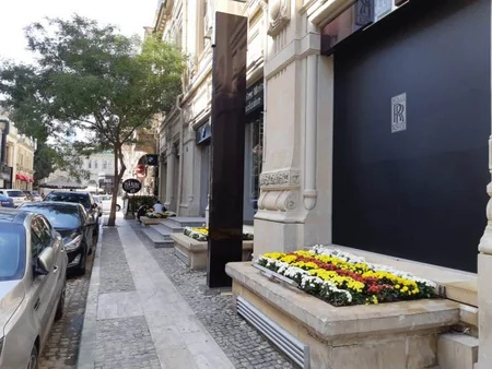 Bakıda bəzi sahibkarlar “Yaşıl guşələr”in yaradılmasına qarşı çıxır - RƏYLƏR