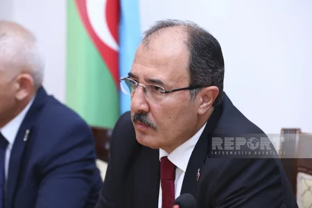 Bakıda “15 İyul Şəhidlərini Anma, Demokratiya və Milli Birlik Günü adlı konfrans keçirilib
