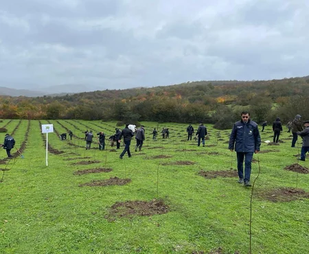 Azərbaycan Türkiyənin aksiyasına qoşulub