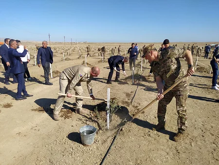 Anım Günü münasibətilə ağacəkmə aksiyası keçirilib