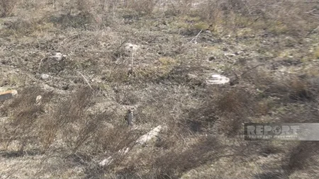 59 anti-tank mines found at mass grave site in Azerbaijan’s Fuzuli