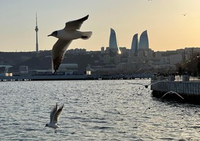 Dəniz kənarında ekoloji çirklənməyə yol verən şəxslər cərimələnib