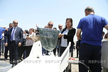 Diplomats, international experts release trouts into Hakari River