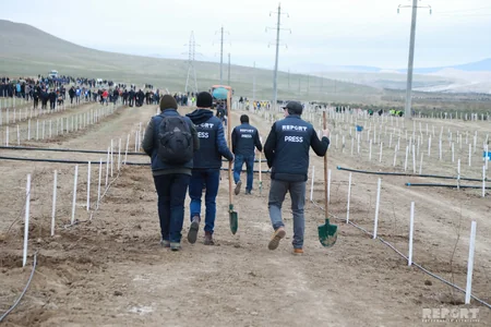 Report News Agency takes part in tree planting campaign - VIDEO