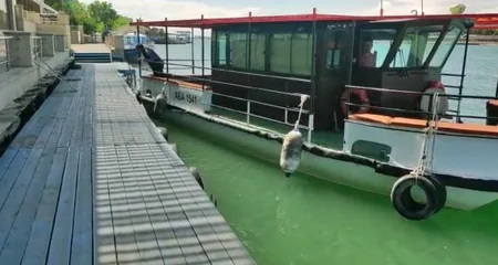 Mingəçevirdə kiçikhəcmli gəmilərin dayanacağında çoxsaylı nöqsanlar aşkarlanıb