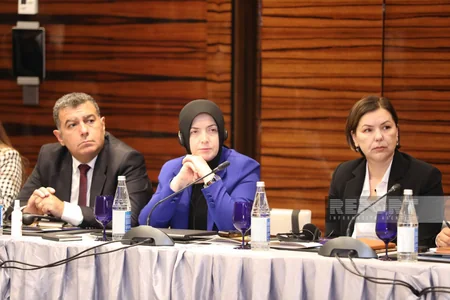 Bakıda pestisidlərdən istifadənin idarə edilməsinə dair regional seminar keçirilir 