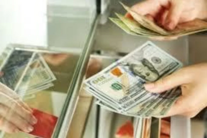 Yarım il ərzində miqrantlar Rusiyadan Azərbaycana 400 milyon dollardan çox pul köçürüb