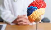 Стало известно, как наш мозг реагирует на умственную усталость