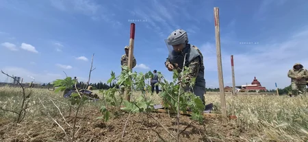 ANAMA Göygöldə humanitar minatəmizləmə fəaliyyətinə dair təlim keçirib