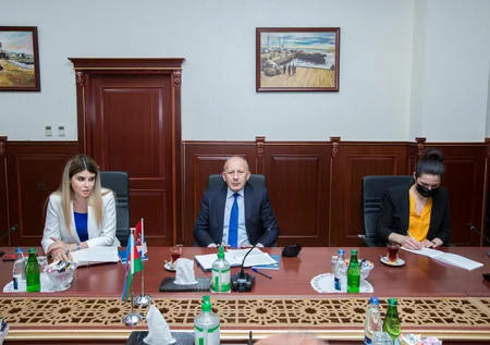 Sahibkarlar ötən il Yaşıl dəhlizlə 8 milyard dollarlıq əməliyyat aparıb