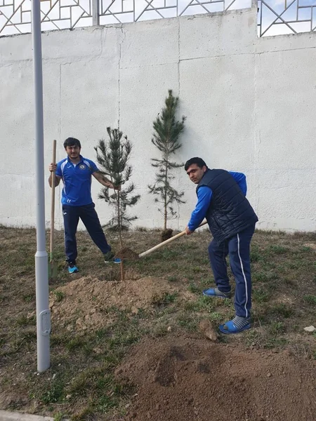 Cüdoçular Göygöldə yaşıllaşdırma aksiyasında iştirak ediblər
