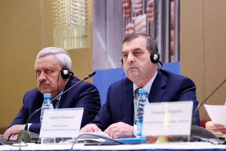 Azerbaijan presents project to support reforms in penitentiary system