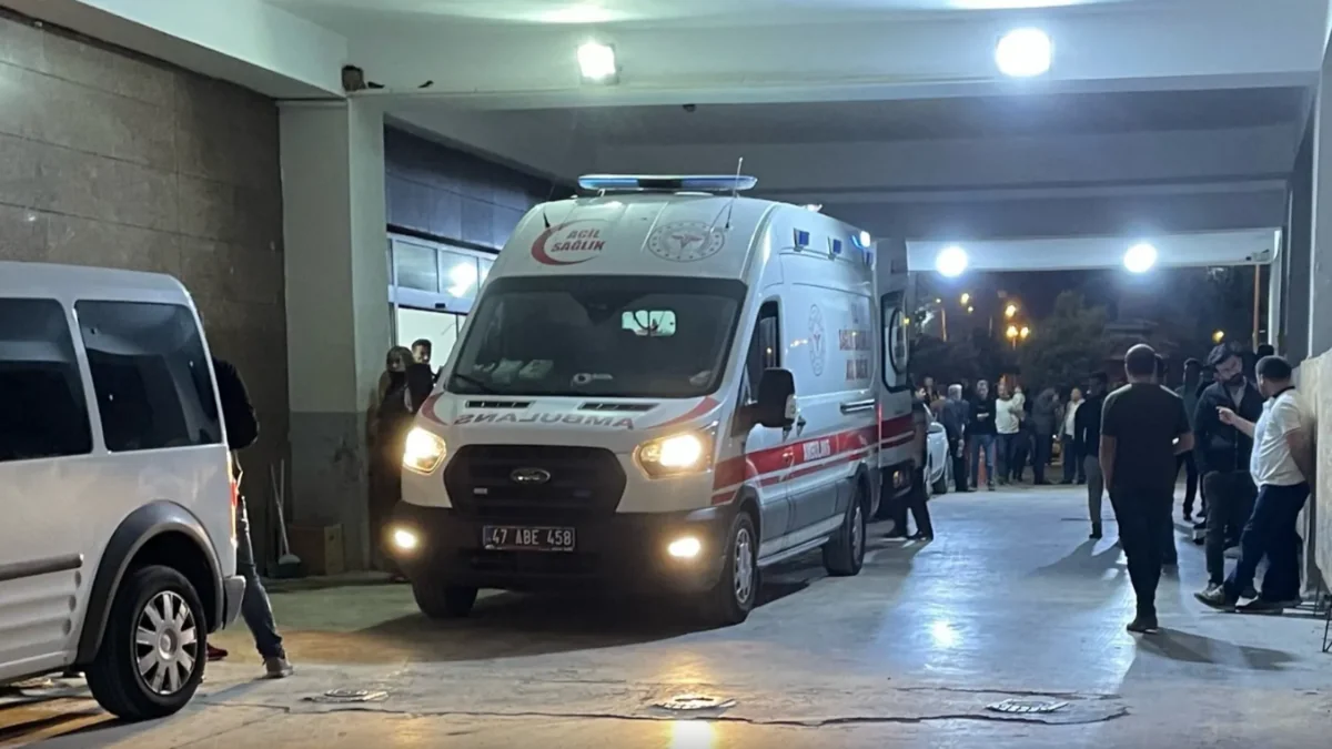 Türkiyədə kütləvi davada 11 nəfər xəsarət alıb