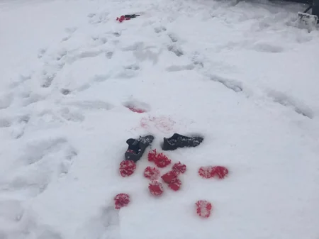 Xocalı soyqırımının 29-cı ildönümü ilə bağlı fləşmob təşkil olunub