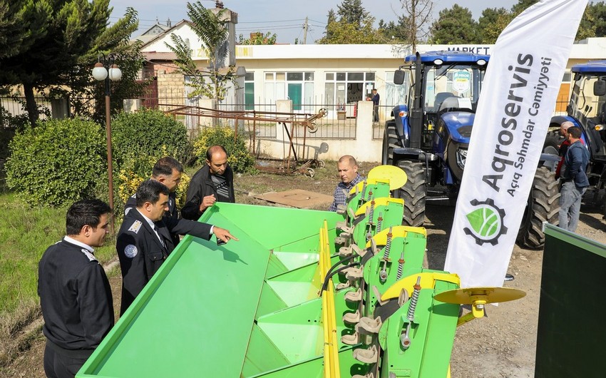 Cəlilabadda “Kartofçuluq üzrə toxum, texnika sərgi-satış yarmarkası” keçirilib
