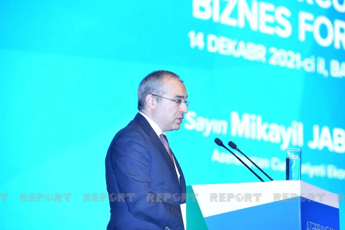 İqtisadiyyat naziri: “Türkiyəyə investisiya qoyuluşumuz 19 milyard dollardan çoxdur”