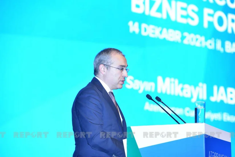 Economy Minister: Azerbaijan's investments in Turkey amount to over  $ 19B