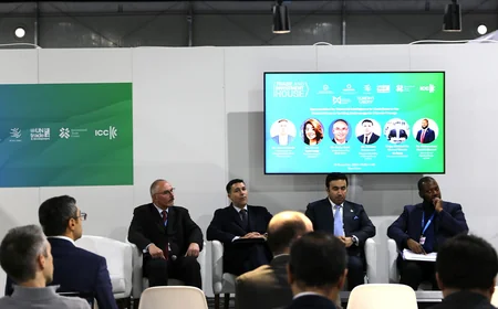 Financial monitoring agencies mull environmental crimes during COP29