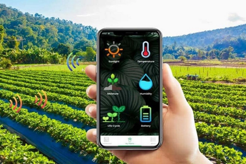 Özbəkistan Azərbaycanın kənd təsərrüfatının rəqəmsallaşdırılması təcrübəsini öyrənir