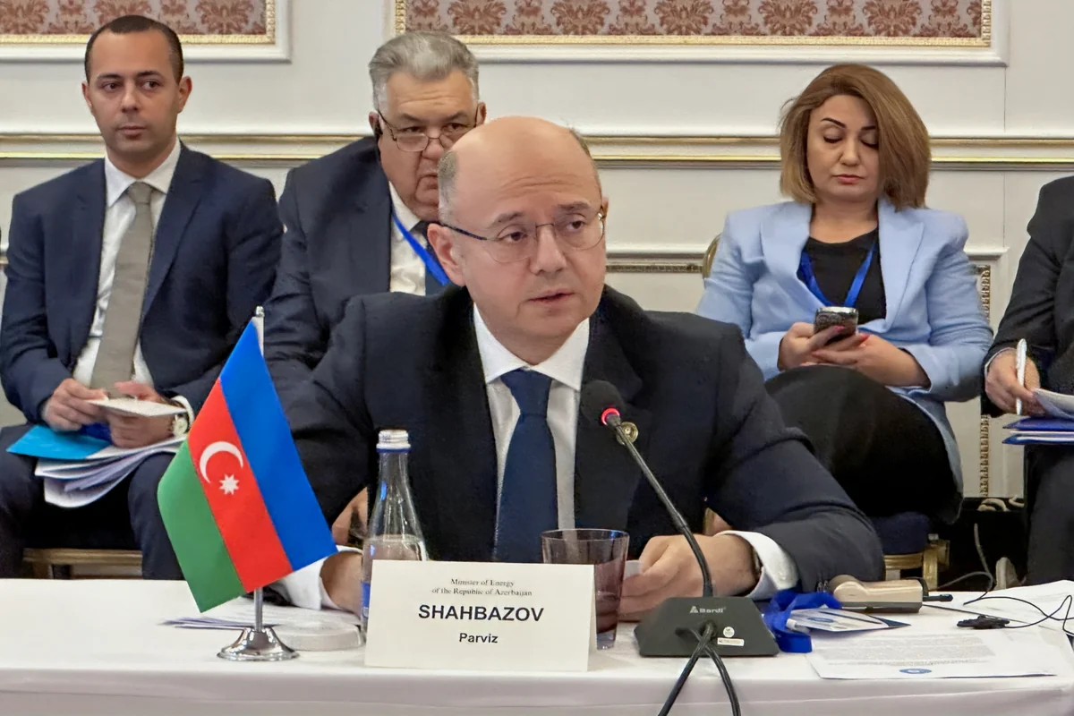 TDT ölkələrinin energetika nazirləri Bişkekdə birgə enerji layihələrini müzakirə ediblər