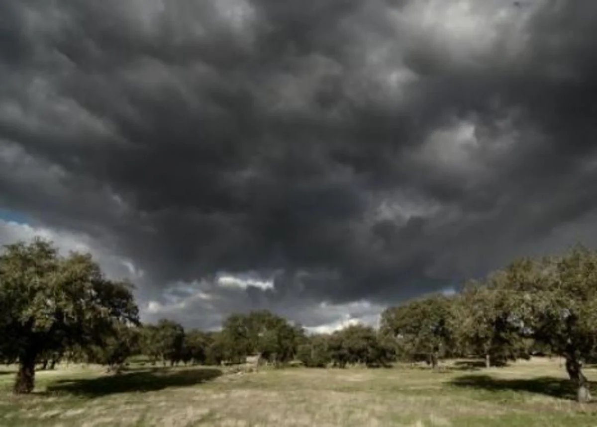 Yaxın iki gündə Azərbaycanda güclü xəzri küləyi əsəcək