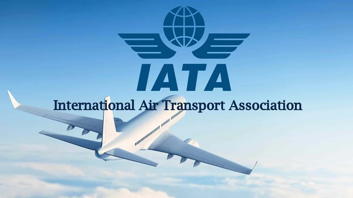 IATA: Авиакомпании мира заработают в этом году почти 10 млрд долларов