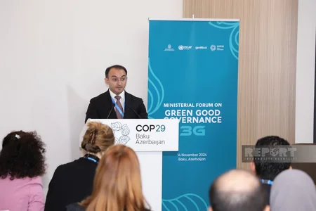 Ministerial forum on green governance launches at COP29 in Baku