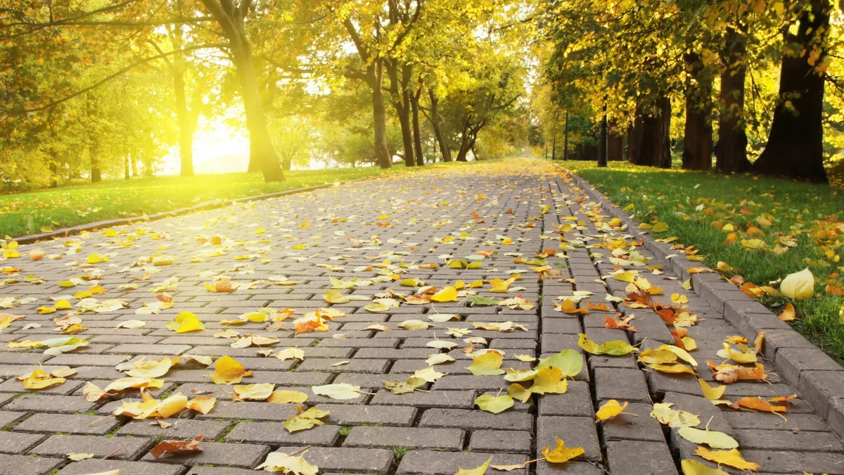 Weather forecast for October 11 in Azerbaijan announced