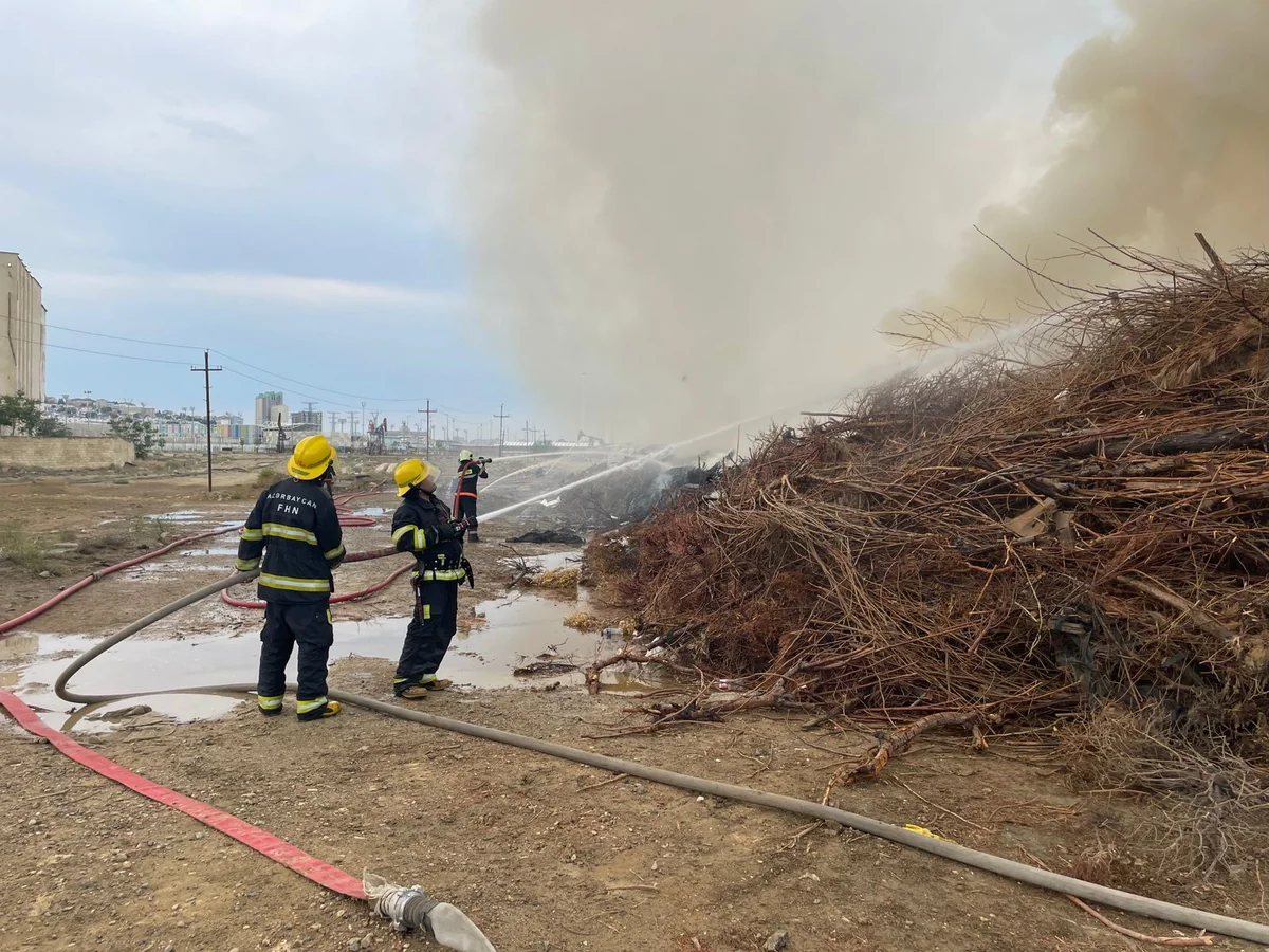 Səbaildə dənizə yaxın açıq ərazidə yanğın məhdudlaşdırılıb - YENİLƏNİB 