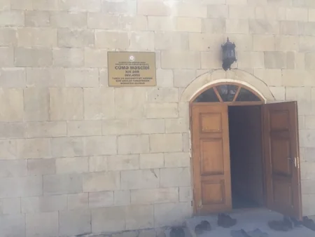 Nazir Salyan Rəsm Qalereyasının fonduna iki yeni əsər təqdim edib