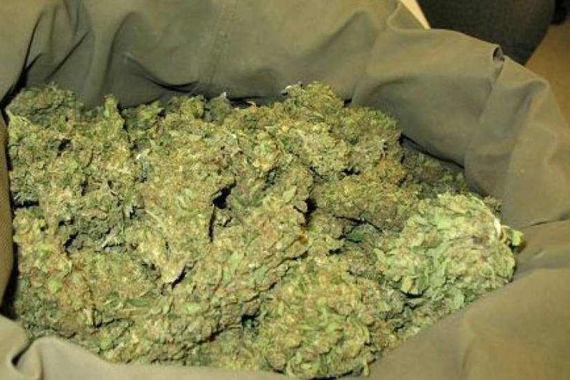 Yevlax sakinindən altı kiloqram marixuana aşkar olunub