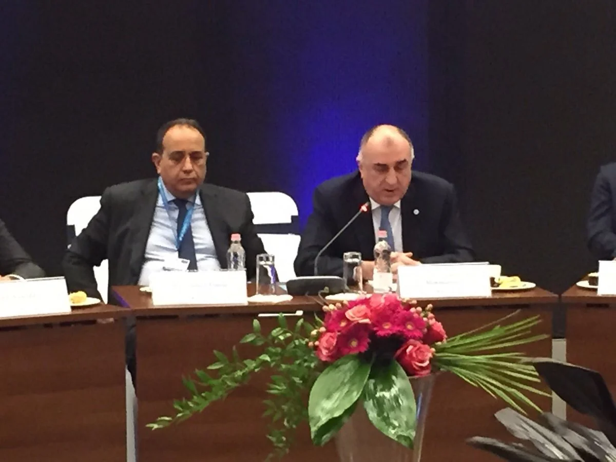 Azerbaijani FM: We are interested in progressing our bilateral speedy talks with EU