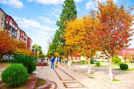 Lənkəranda Qızıl payız - FOTOREPORTAJ