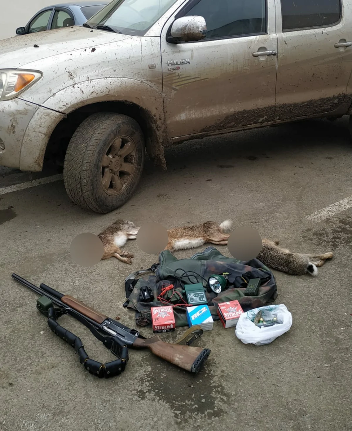 Cəlilabadda dovşan ovlayan Sumqayıt sakinləri saxlanıldı