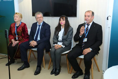На COP29 презентовали платформу экологических организаций прикаспийских стран