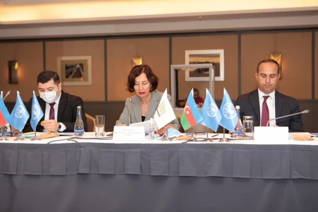 AKİA: Bütün fındıq bağları dövlət qeydiyyatına alınıb