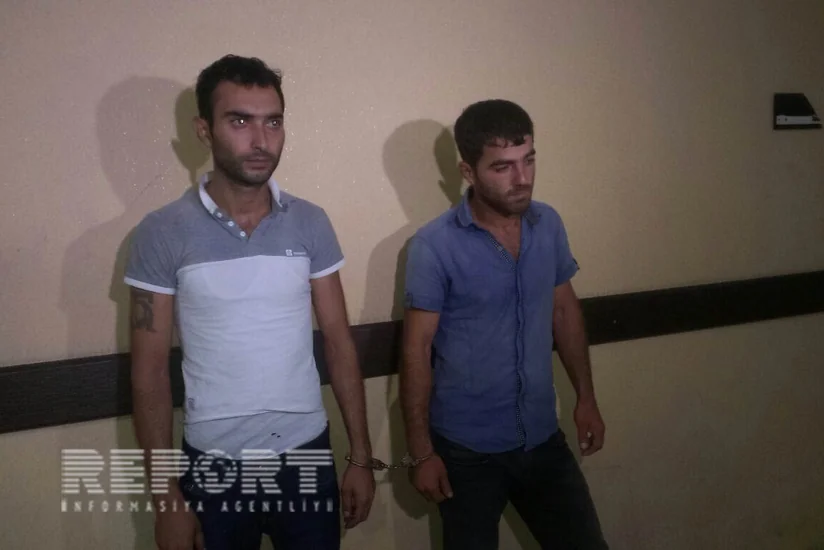 Mal-qara oğurlayan dəstə üzvləri tutulub - FOTO