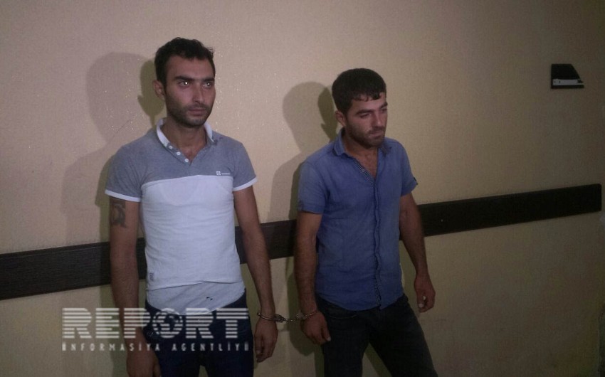 Mal-qara oğurlayan dəstə üzvləri tutulub - FOTO