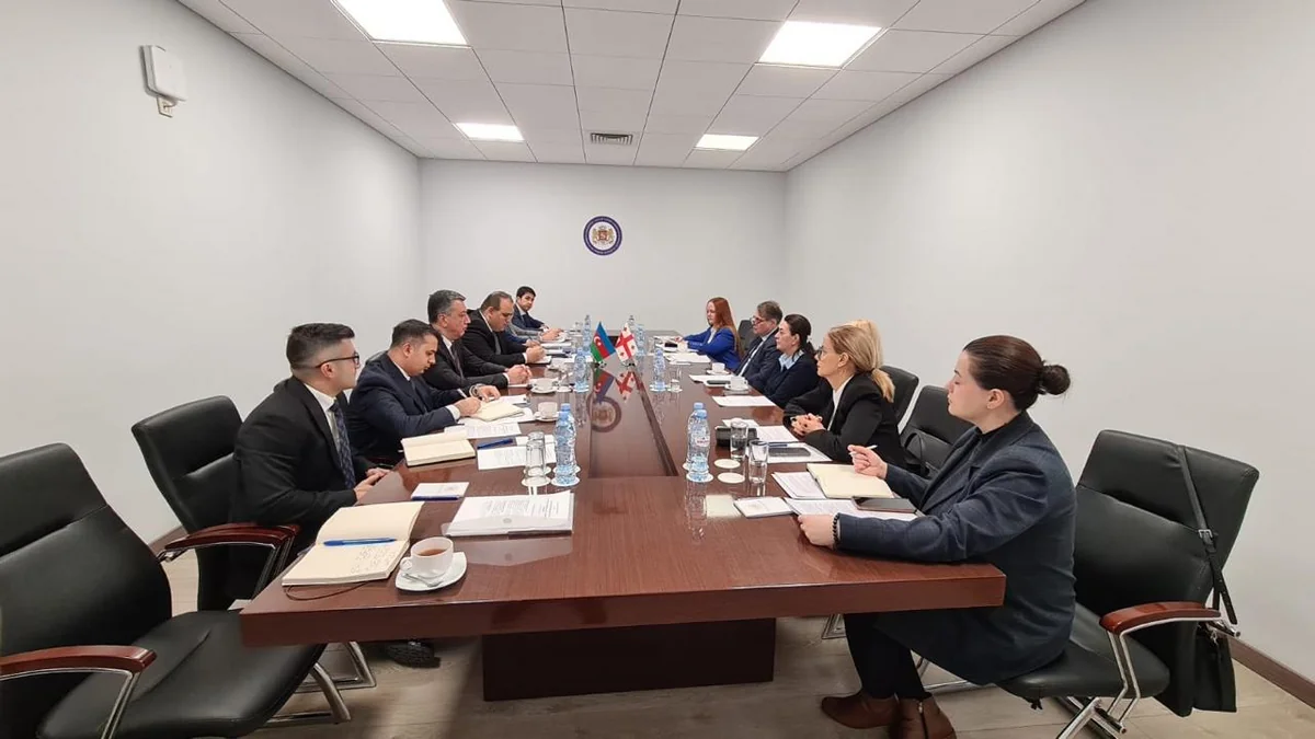 Tbilisidə Azərbaycanla Gürcüstan arasında konsulluq məsləhətləşmələri aparılıb