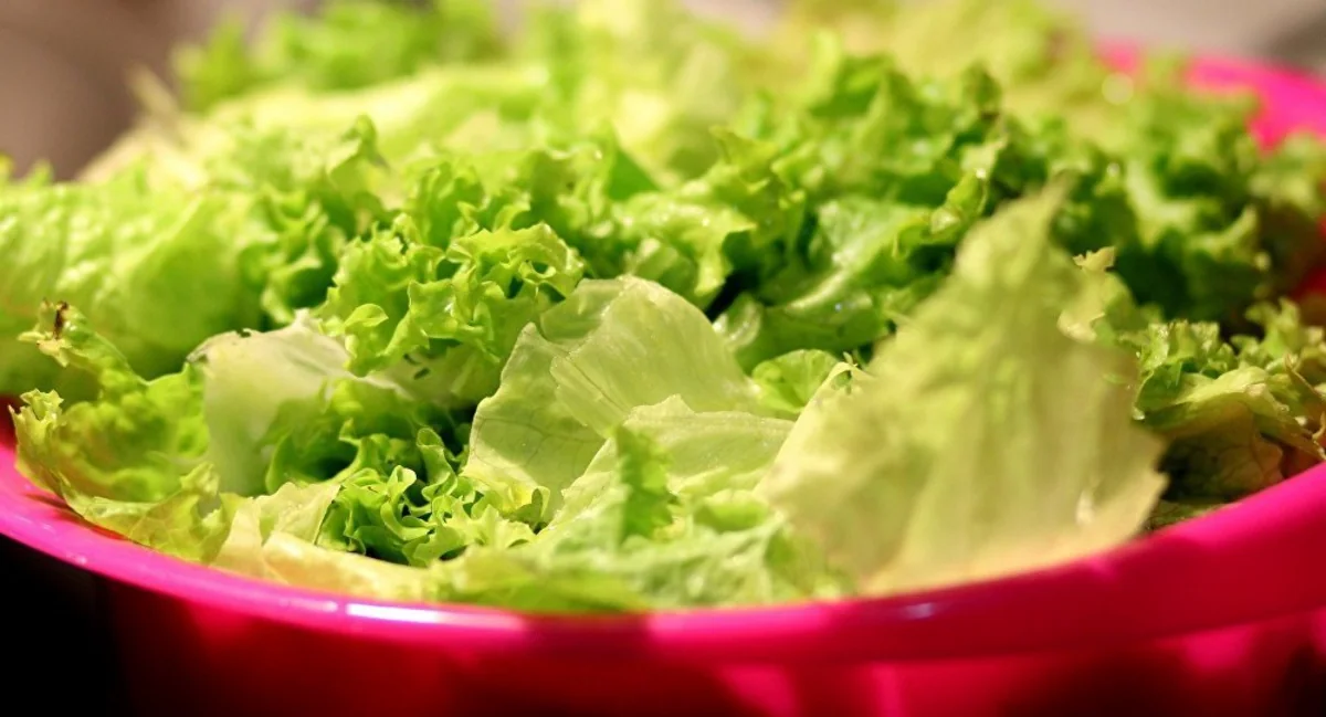 5 dead, nearly 200 sickened in romaine lettuce outbreak in US