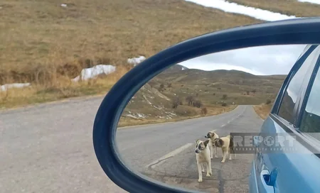 Batabatın heyranedici payız mənzərəsi - FOTOREPORTAJ