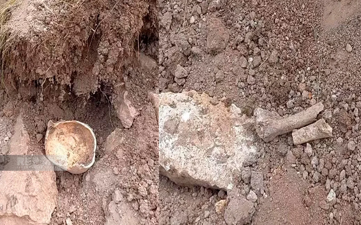 Laçında insan skeletinin qalıqları tapılıb