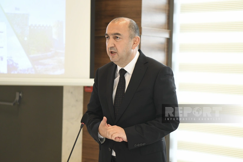 Инвентаризация лесного фонда на освобожденных территориях будет завершена к концу следующего года