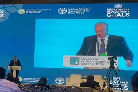 Замминистра: В секторе АПК необходима цифровая трансформация