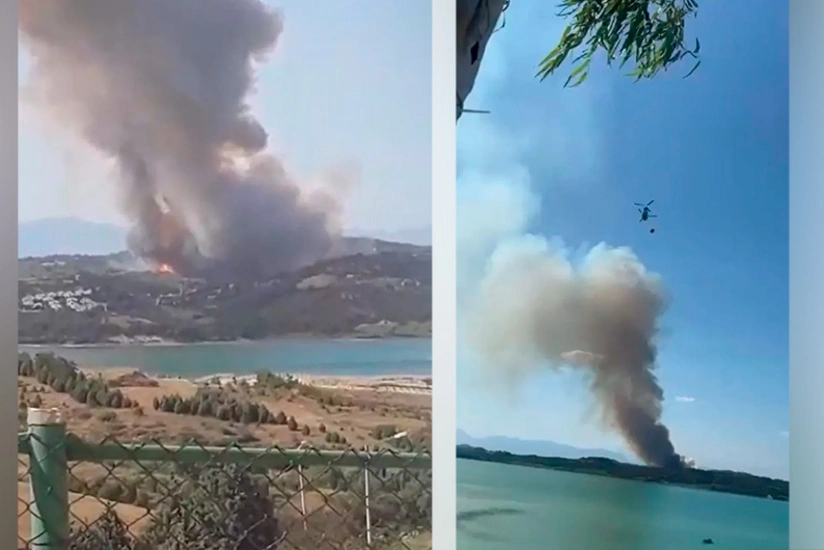 Adanada meşə yanğını nəzarət altına alınıb - YENİLƏNİB