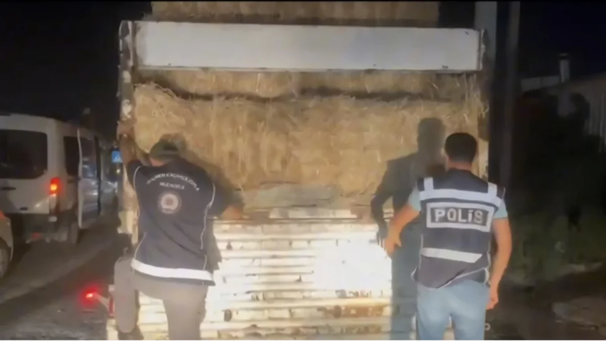 Türkiyədə yük maşınının ot bağlamalarının arasında 31 qanunsuz miqrant aşkarlanıb