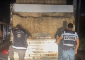 Türkiyədə yük maşınının ot bağlamalarının arasında 31 qanunsuz miqrant aşkarlanıb
