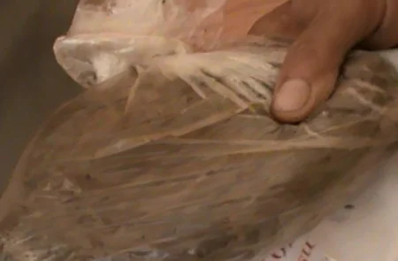 Gəncədə keçmiş məhkumdan narkotik götürülüb