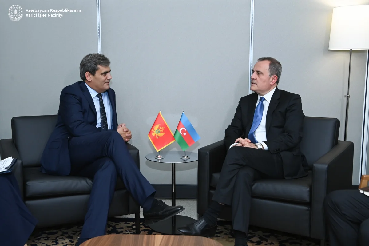 Azerbaijan FM holds discussions with his Montenegrin counterpart